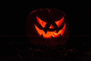 a terrifying halloween pumpkin illuminates the darkness around it