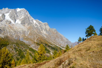 Fototapeta na wymiar View of mountain peaks, valleys and pine tree forests in Val Ferret, Aosta Valley, Italy