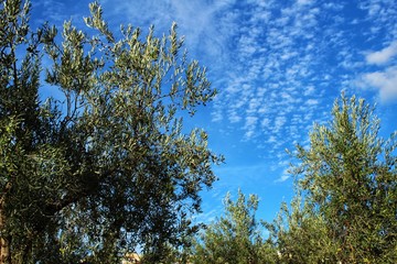 Blue sky and rural landscape in Chelva, Valencia