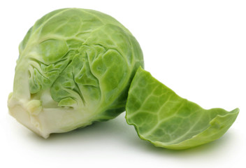 Obraz premium Rosenkohl or Brussels sprout