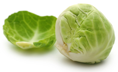 Rosenkohl or Brussels sprout