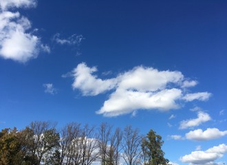 Obraz premium peaceful clouds in fall blue sky