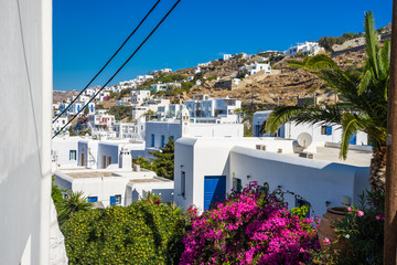 Streetview of Mykonos with white houses with blue windows.
