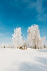 winter landscapes