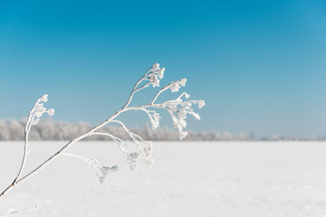 winter landscapes