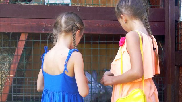 Feeding rabbit. Little girls feeding farm domestic rabbits with fleawort leaf