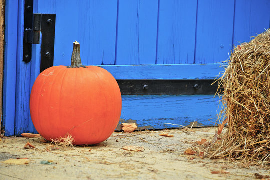 una zucca per halloween.  una zucca arancione in varie ambientazioni per halloween