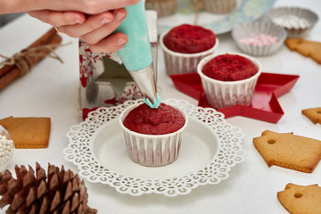 Christmas cupcakes and gingerbreads.