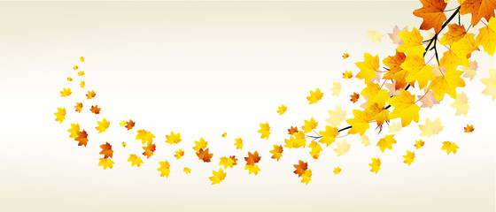 Goldener Herbst auf weissem Hintergrund