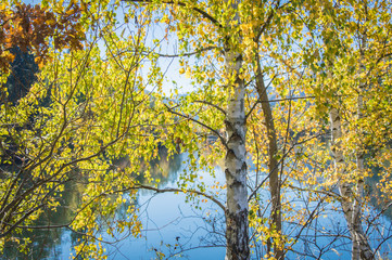 Idyllic view of river Mur on a day in autumn, Styria, Austria