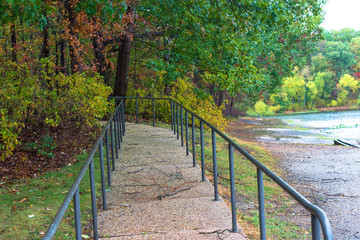 Fototapeta premium Path into the Woods
