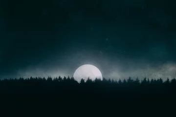 Gordijnen full moon on the forest at night © mimadeo