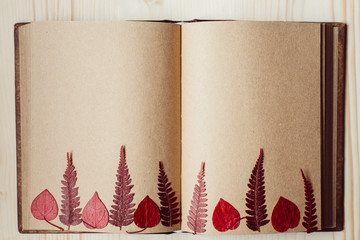 Red leaves on the blank notebook pages