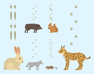 Animal footprints include mammals and birds foot print trace wildlife track steps wild nature silhouette vector