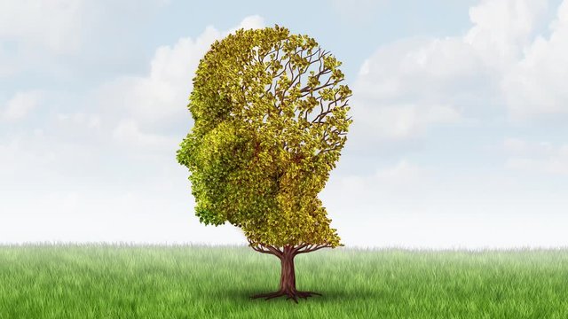 Alzheimer memory loss and brain aging
