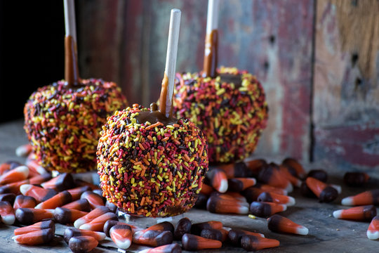 Colorful Candy Carmel Apples With Fall Sprinkles