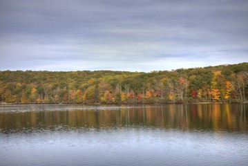 Foliage at the lake