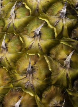 closeup macro of the exterior patterns and colors of a pineapple