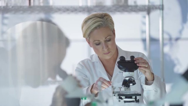 Medical researcher working in the lab analyzing samples under microscope