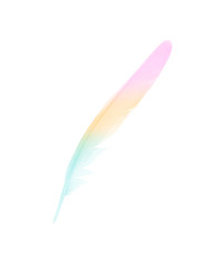 Beautiful colour pattern feather isolated on white background with clipping path 
