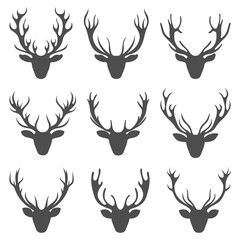 Set Deer Heads, Collection Stag Horns, Isolated on White Background