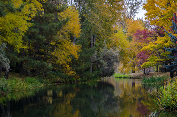 Fototapeta na wymiar Season of Change Reflecting in the Silent Autumn Pond