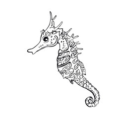 Seahorse. Hand-drawn inhabitant of the underwater world