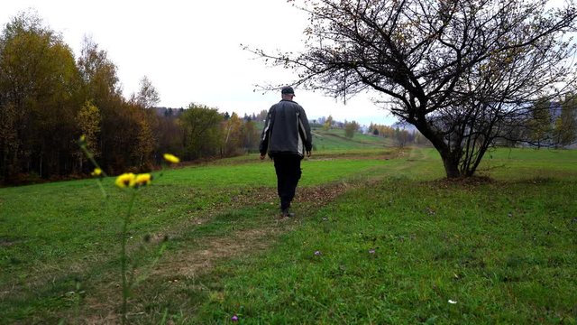 Man passes through field meadow in autumn landscape - (4K)