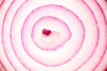 Red onion slice