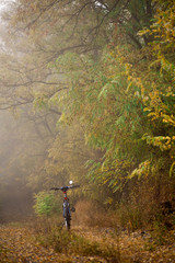 Obraz premium Autumn beech leaves decorate a beautiful nature bokeh background with forest