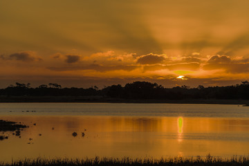 Chincoteague Morning Sunrise