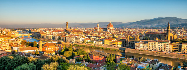 View of Florence skyline from top view