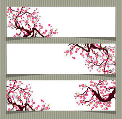 Vector Cherry blossom for Chinese New Year and lunar new year