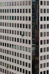 Window after window, two men abseil down the outside of a high rise building cleaning windows.