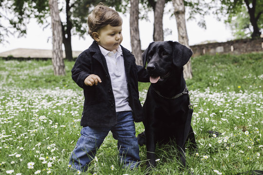 Boy loves the dog