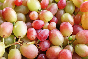 Naklejka na ściany i meble Fresh ripe grapes, closeup