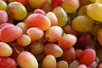 Fresh ripe grapes, closeup