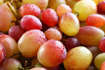 Fresh ripe grapes, closeup