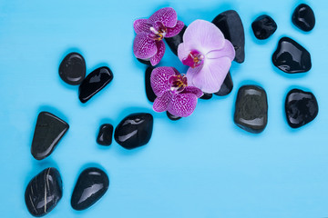 black stones and flowers for massage and procedures in a spa salon on a blue background