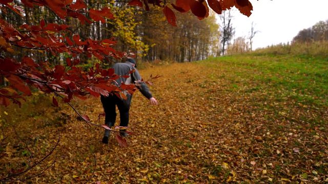 Man walk next to forest, taking and touching autumn leaves - (4K)