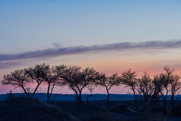 silhouettes of trees on hill with colorful sky on background 