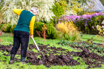 Farmer in the garden or gardener working on farm. Fertilizing the soil with a natural fertilizer, organic farming concept