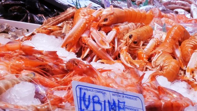 Seafood moving shrimps great lobsters and crabs on the counter market,Seafood in the market La Boqueria in Barcelona