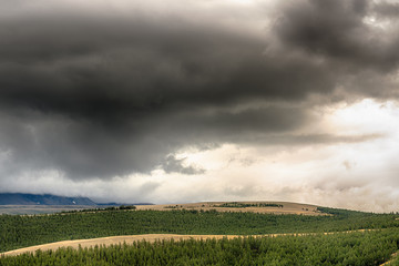 picturesque landscape of pine forest stretching to foot of great mountains