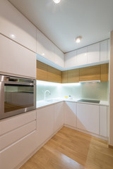 Modern kitchen interior