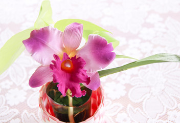Artificial orchid in the vase