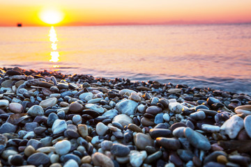 Pebble © Galyna Andrushko