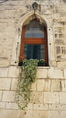 Fototapeta na wymiar close up from old window in croatia