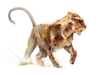 Obraz premium Kolorowy szkic na białym tle kolejny lwica zwierzę