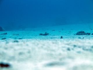 Unterwasser Ägypten